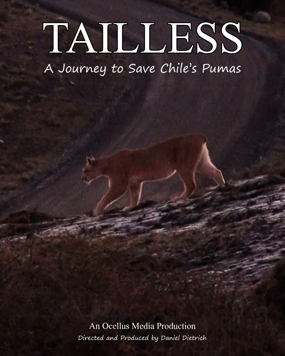 Tailless