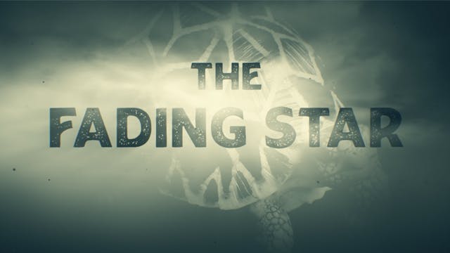 Fading Star