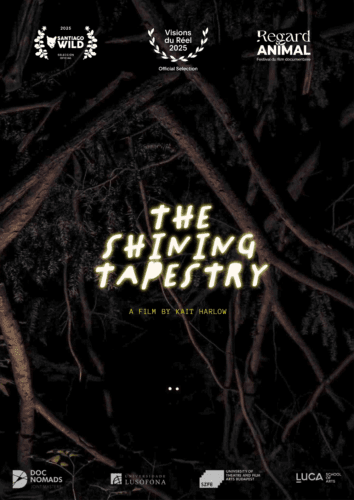 The Shining Tapestry