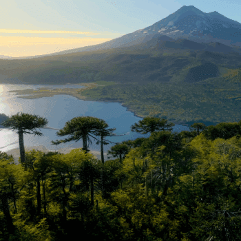 Festival de Cine Santiago Wild 2025: fecha, lugar, entradas y precios del evento de naturaleza