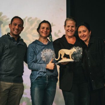 El viaje por la libertad de la última elefanta de circo en Chile, gana la competencia del Festival Santiago Wild 2025