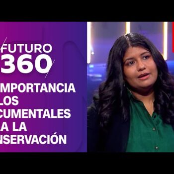 La importancia de los documentales para la conservación del medioambiente