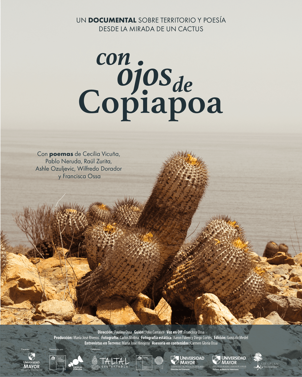 Con ojos de Copiapoa – UMayor
