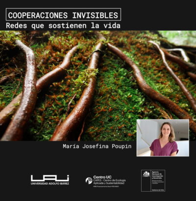 Cooperaciones Invisibles: redes que sostienen la vida – UAI2