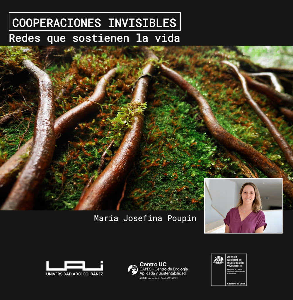 Cooperaciones Invisibles: redes que sostienen la vida – UAI2