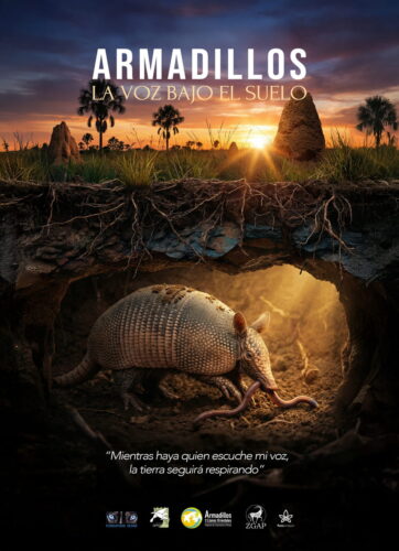 Armadillos, la voz bajo el suelo