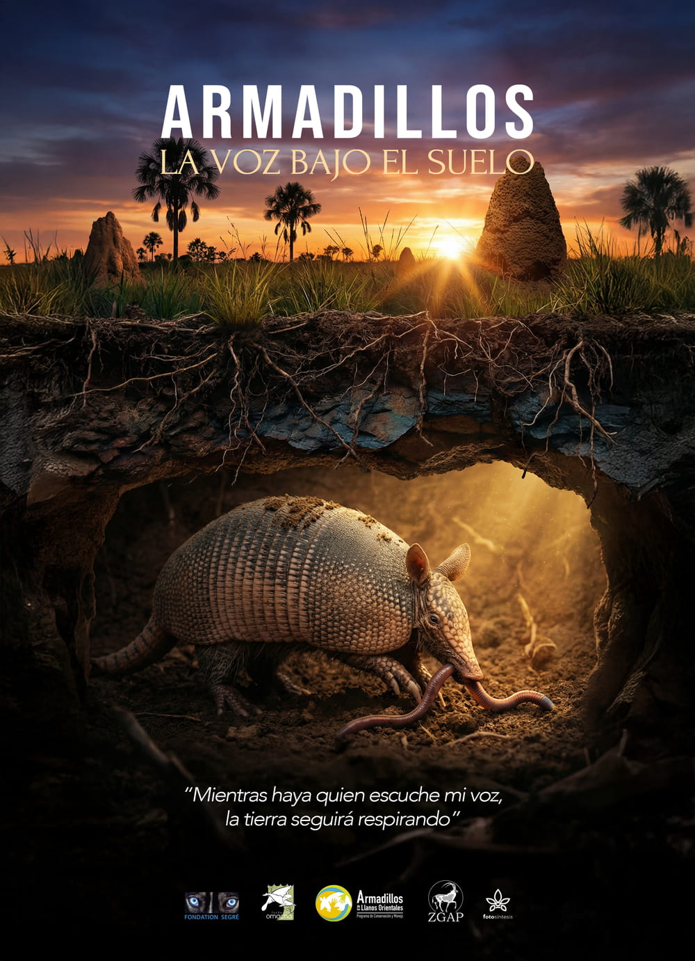 Armadillos, la voz bajo el suelo