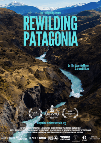 Rewilding Patagonia