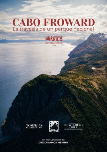 Cabo Froward: La travesía de un parque nacional