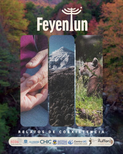 Feyentun
