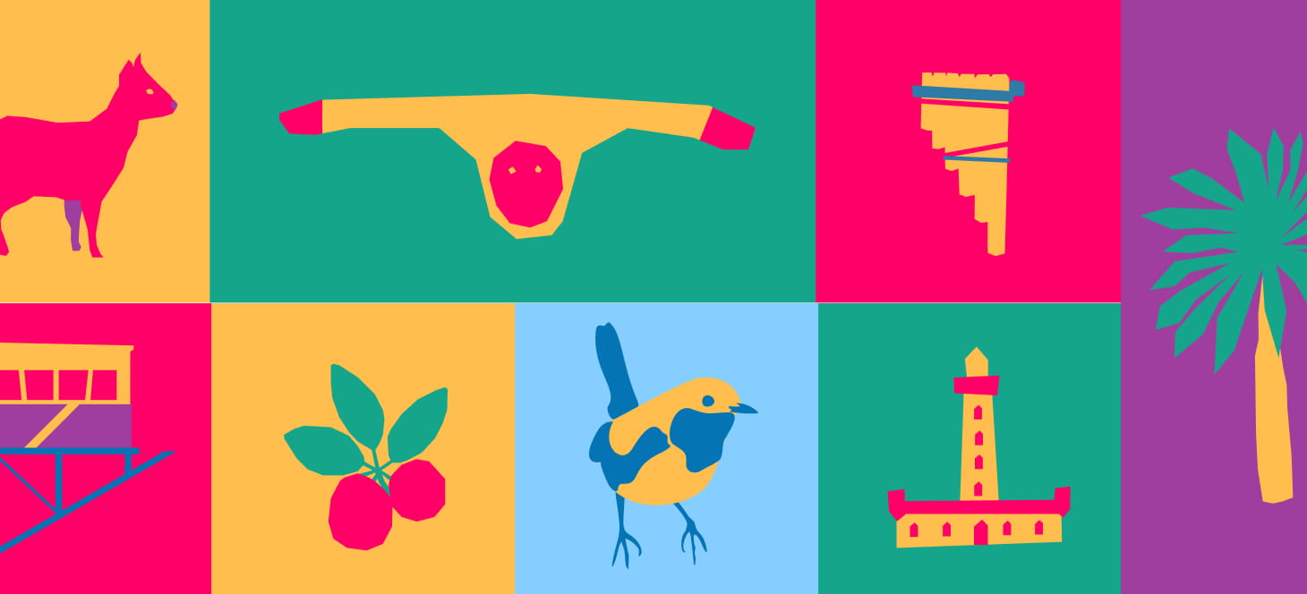 11° Concurso de fotos Ladera Sur