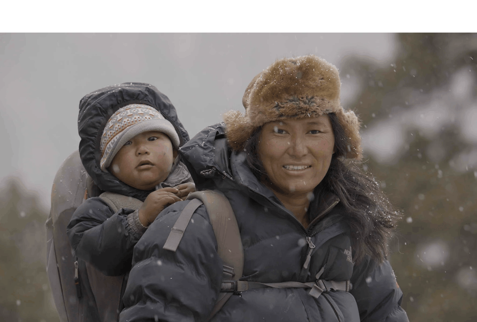 Night of the Snow Leopard