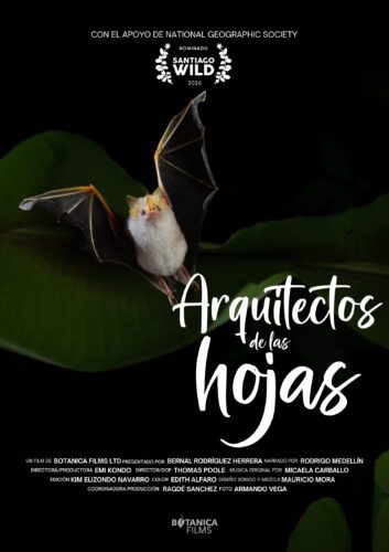 Arquitectos de las Hojas