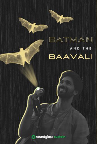 Batman and the Baavali: Bats in the Urban Jungle