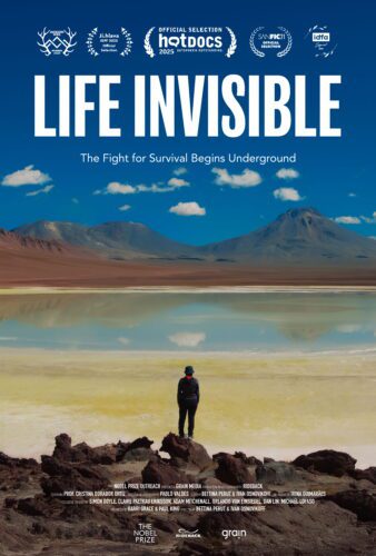 Life Invisible