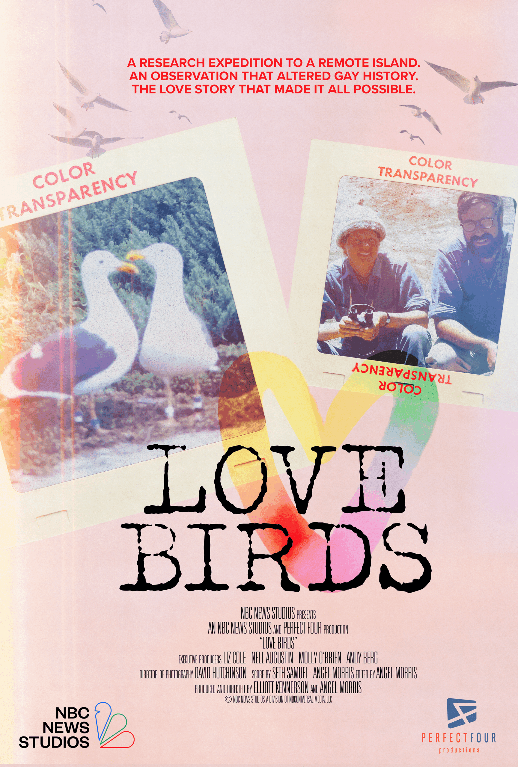 Love Birds