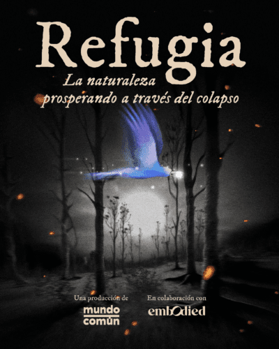 Refugia: Animated Stories of Nature Thriving Through Collapse