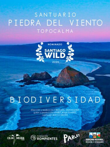 Santuario Piedra del Viento Topocalma – Biodiversidad