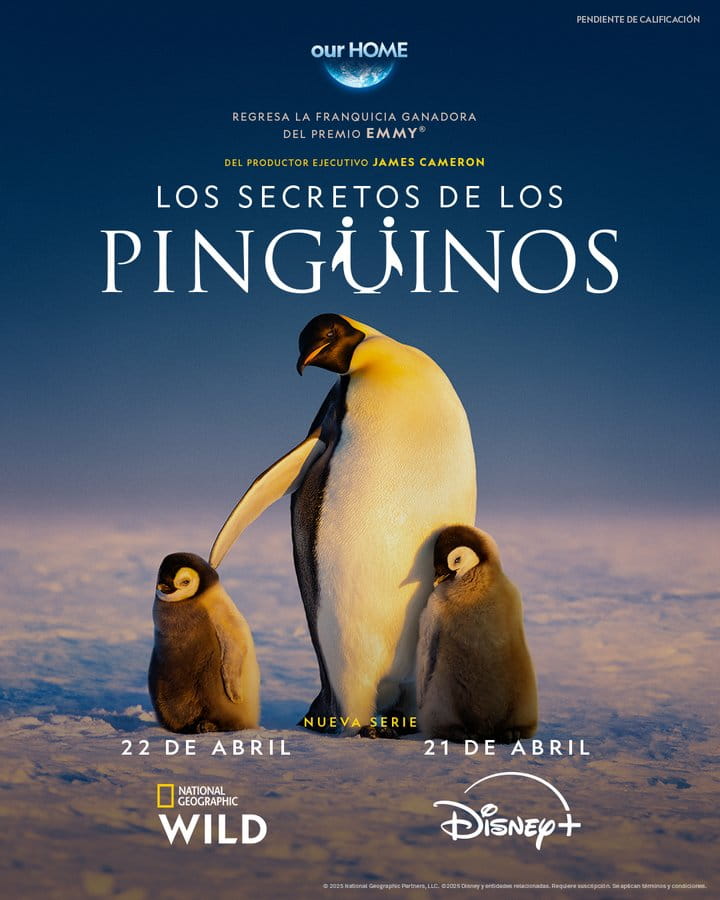 Secrets of the Penguins