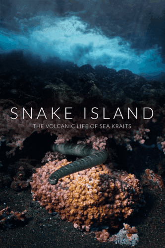 Snake Island: The Volcanic Life of Sea Kraits