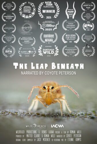The Leap Beneath