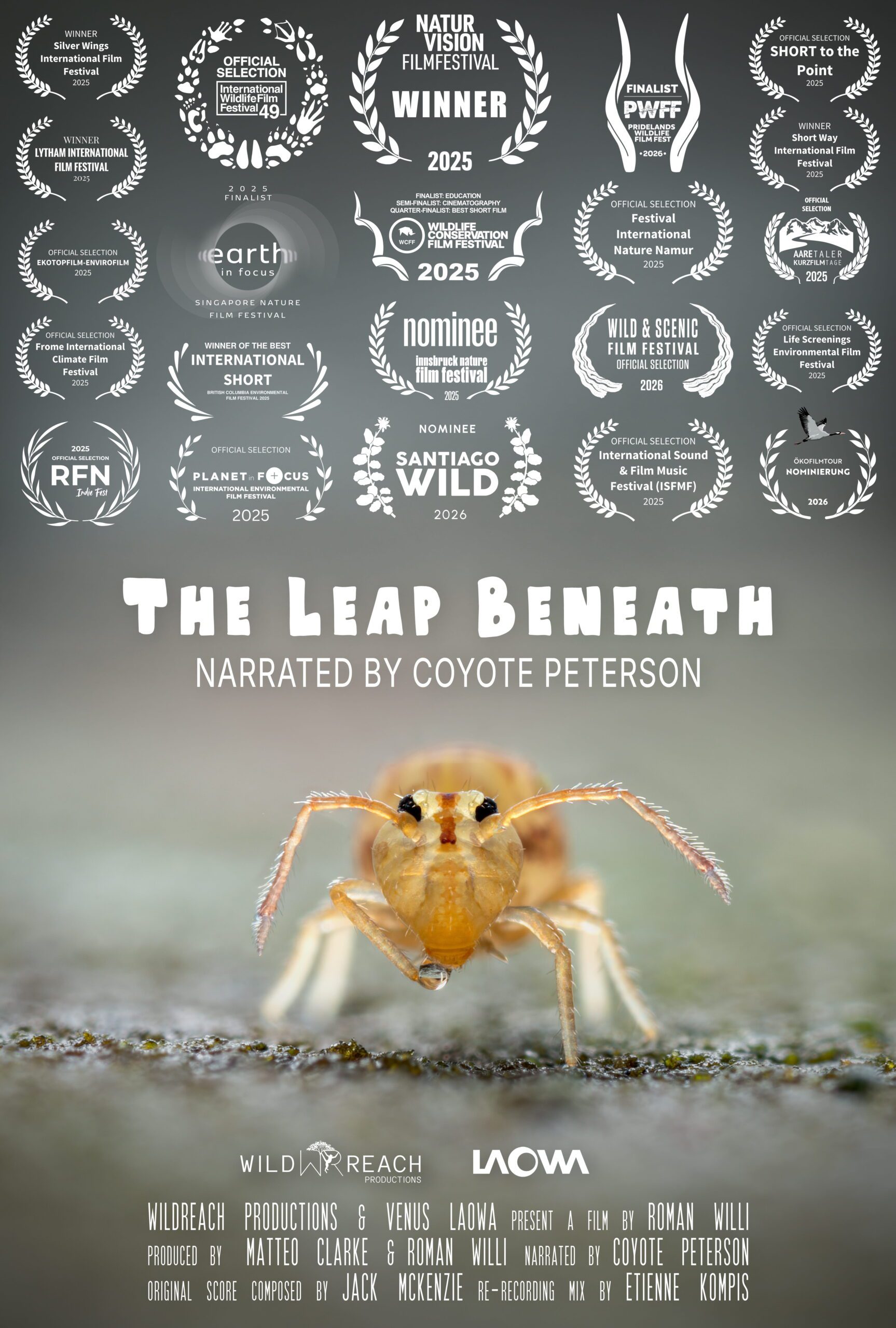 The Leap Beneath