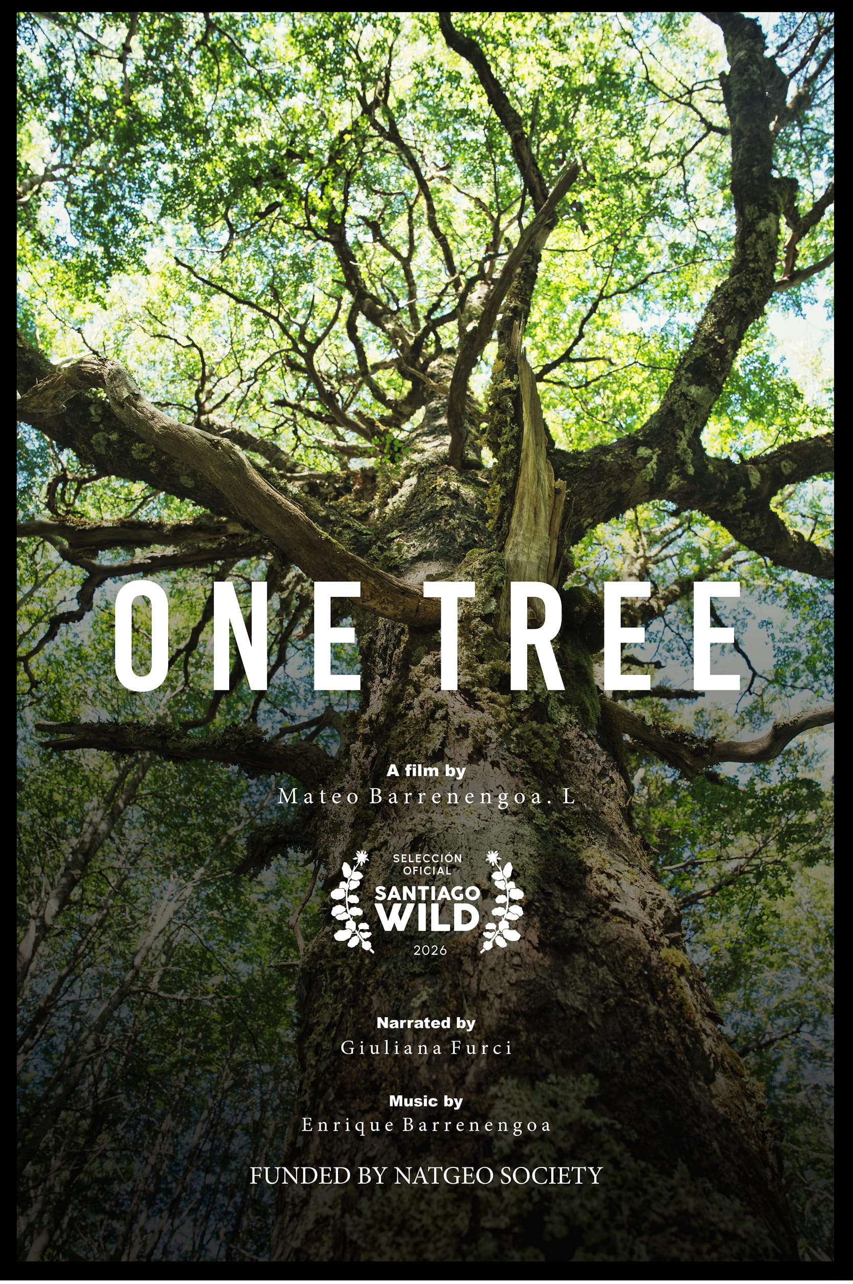 One Tree