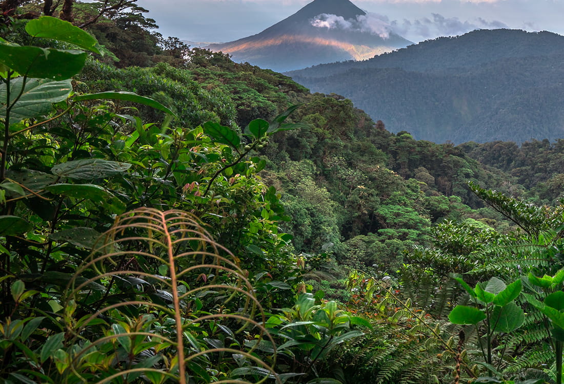 Pitch: cómo vender tu historia de naturaleza