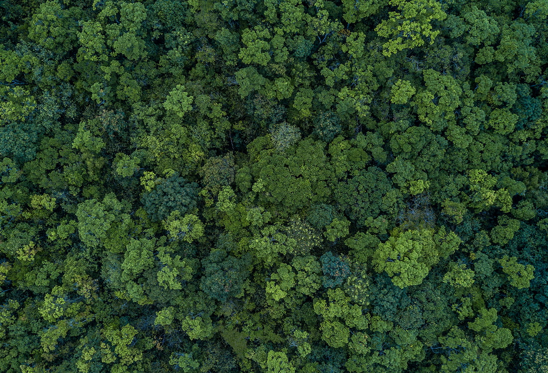 De audio a visual: música y composición para documentales