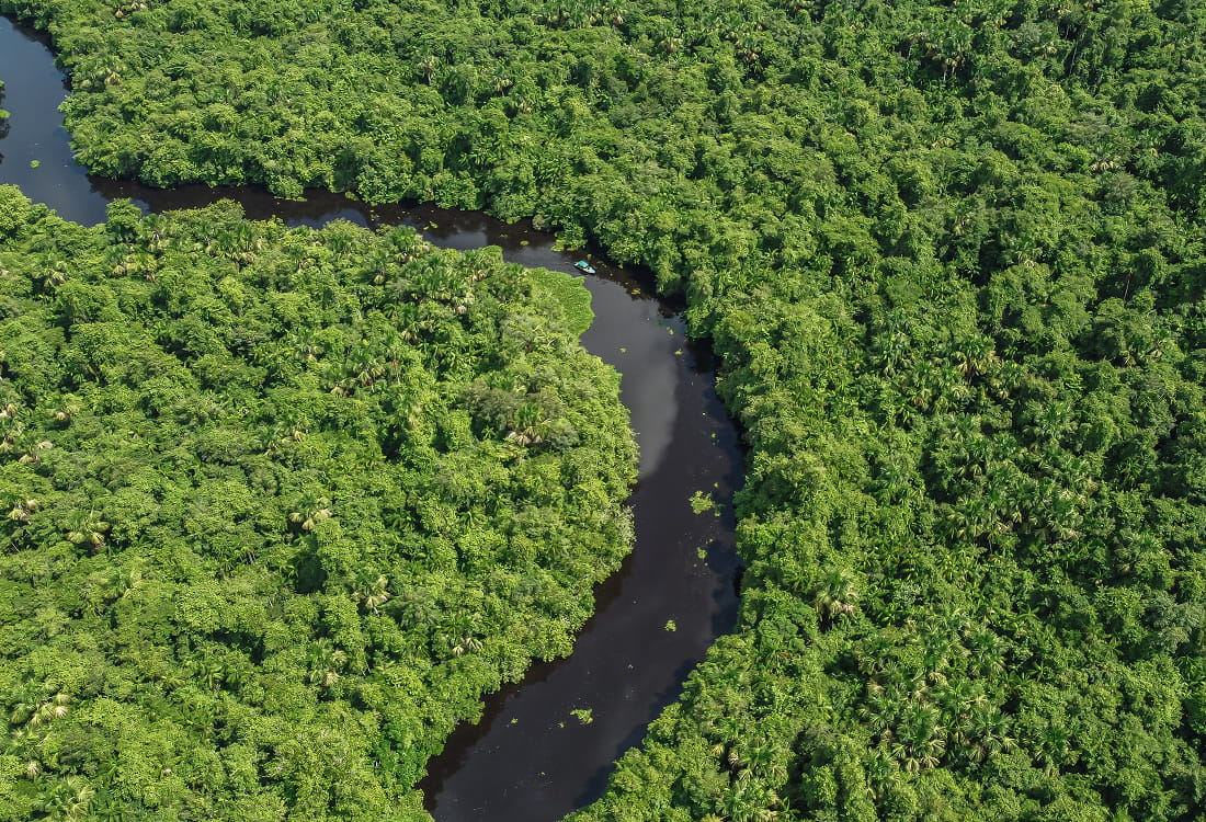 Producción de videos cortos sobre medio ambiente para redes sociales