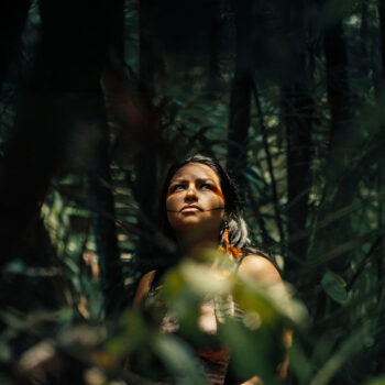 Aclamada producción de Leonardo DiCaprio sobre la Amazonía se exhibirá en Santiago Wild 2026: Fechas y detalles del evento