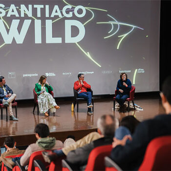 Un documental coproducido por DiCaprio y otro narrado por David Attenborough: Lo que trae el Festival Santiago Wild 2026