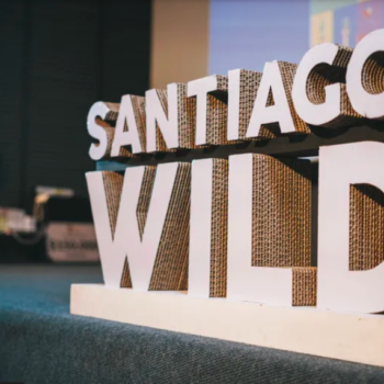 Con film sobre Salar de Atacama y microorganismos: Santiago Wild 2026 celebró lo mejor del cine ambiental